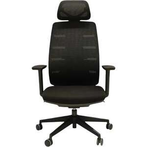 כיסא משרדי PILOT Dr.Gav שחור