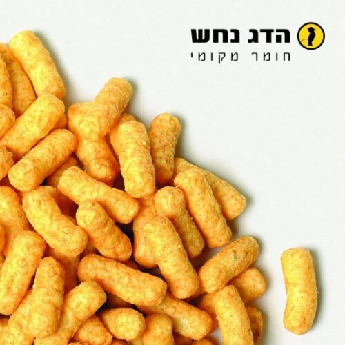 הדג נחש - חומר מקומי (אלבום כפול) - תקליט שקוף