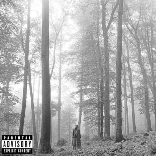 אלבום כפול Taylor Swift - Folklore Brown Vinyl 2LP - תקליט חום