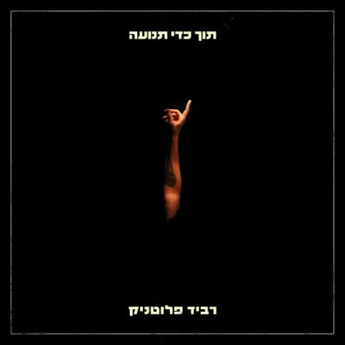 רביד פלוטניק - תוך כדי תנועה