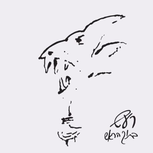 רעש - בתוך הראש (אלבום כפול)