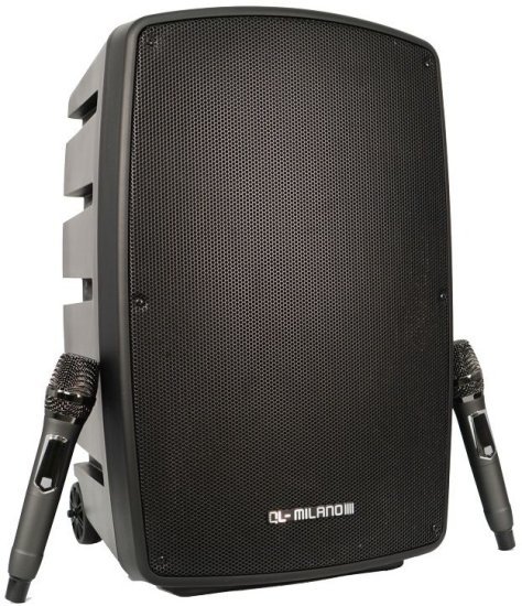 בידורית קריוקי מקצועית 1000W וופר 12+3.5 אינץ' + 2 מיקרופונים QL Milano QL1010