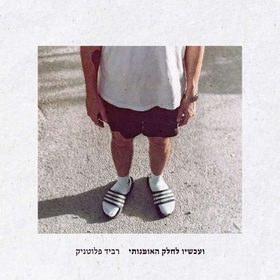 רביד פלוטניק – ועכשיו לחלק האומנותי (אלבום כפול)