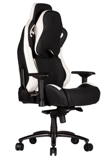 מציאון ועודפים - כיסא לגיימרים Dragon GT SPORT DELUX - צבע שחור / לבן